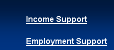 Ontario Disability Support Program